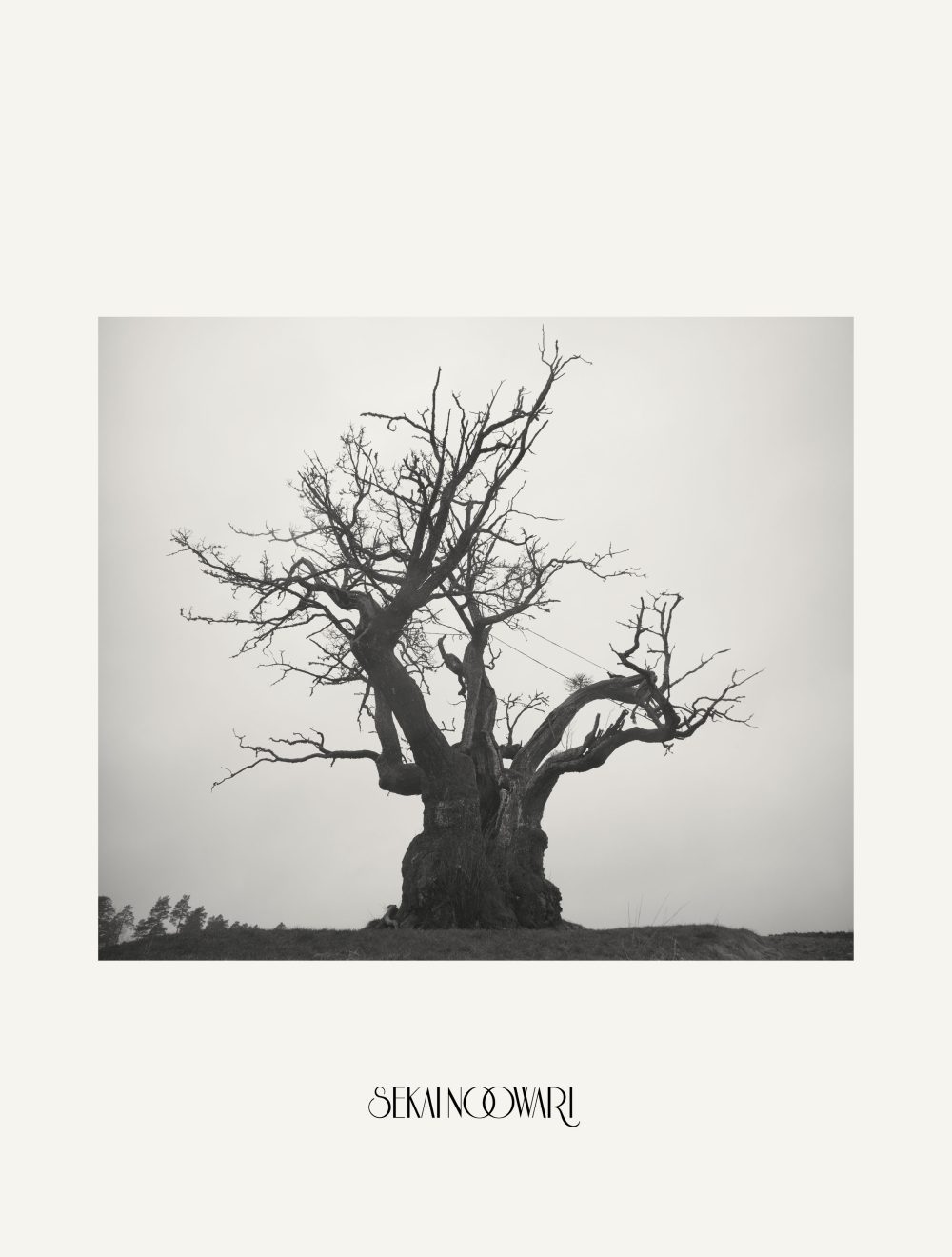 BEST ALBUM「SEKAI NO OWARI 2010-2019」（完全生産限定プレミアムBOX）