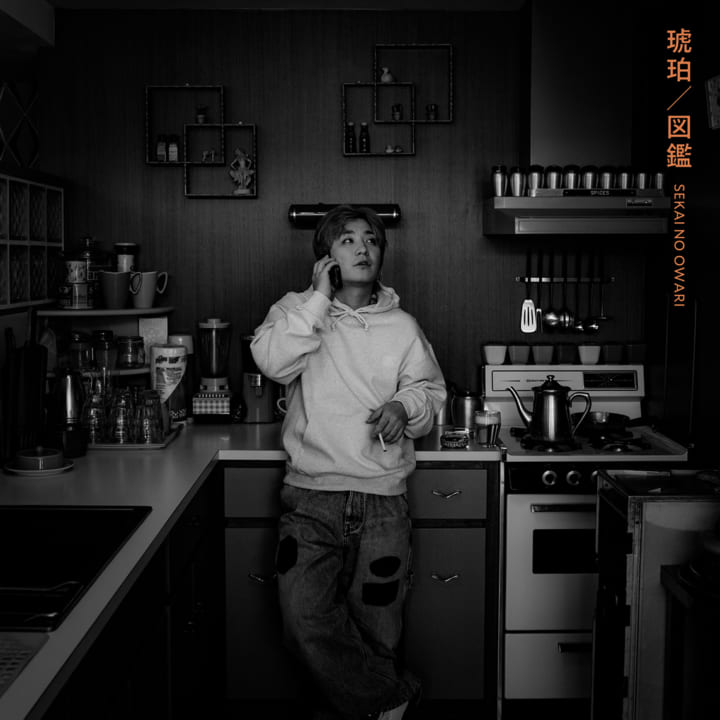 SEKAI NO OWARI FC限定　図鑑/琥珀　INSTANTRADIO 図鑑／琥珀 【初回限定盤B】【CD+DVD】 – SEKAI NO OWARI official store