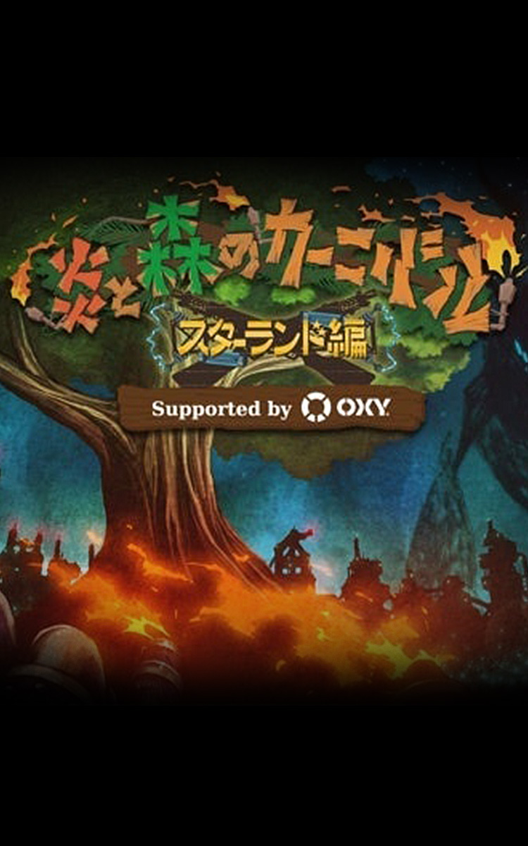 ARENA TOUR 2014 「炎と森のカーニバル-スターランド編-」 Supported by OXY