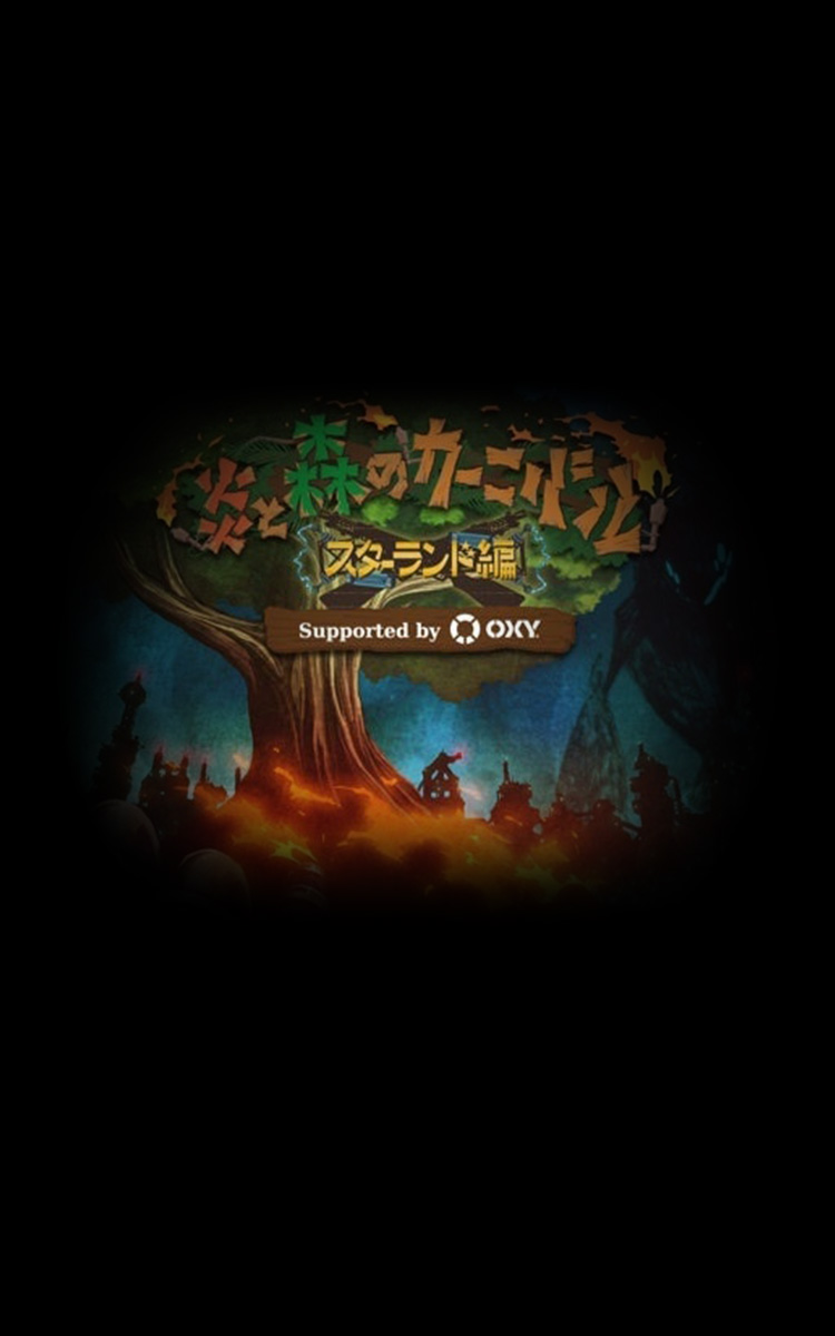 ARENA TOUR 2014 「炎と森のカーニバル-スターランド編-」 Supported by OXY